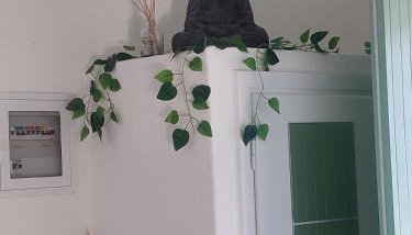 Vitamin sea Studio - Foto 4