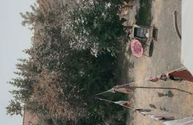 Rez chaussée transformé en t4 au 114 Avenue de juvisy cottages - Foto 7