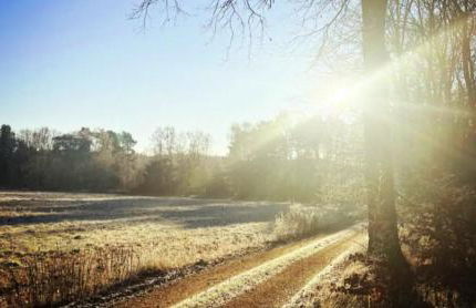 VILLA AM SEE - nähe Berlin - Foto 37