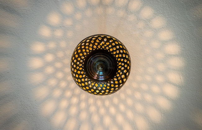 Las Palmeras del Califa - Foto 45