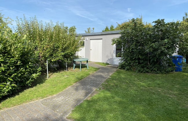 Ostseemuschel - Foto 14