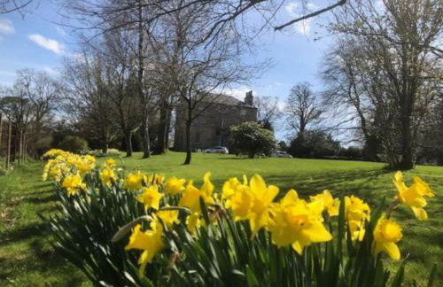 Unique Orchard Lodge for couples with hot tub - Photo 60