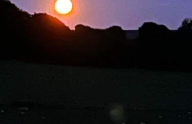 The Vogue Lodge - Photo 25