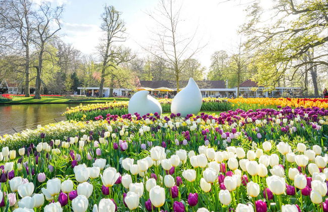 Entradas para Keukenhof - Photo 12