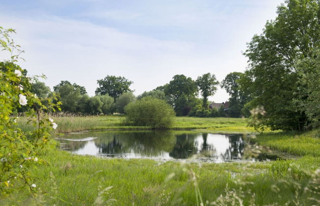 Elbwiesenhaus Modern Retreat - Foto 14