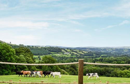 Mountain View - Uk34179 - Photo 16