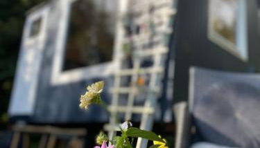 Urlaub im blauen Bauwagen - Foto 4