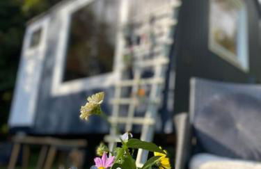 Urlaub im blauen Bauwagen - Foto 4