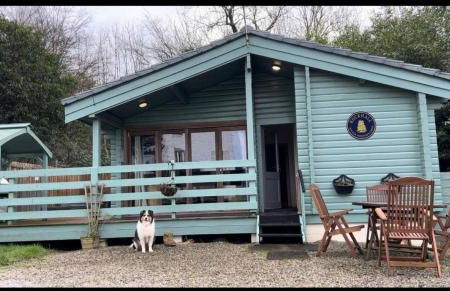 Rustic Secluded Hidden Gem At Rockhall - Photo 14