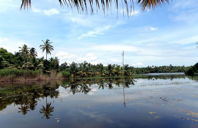 Houseboat Cruise in the Backwaters of Kerala - Foto 9