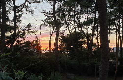 Maison de famille spacieuse à 1 min de la plage à pied, 2 chambres - Foto 24