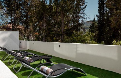 My seagull - Photo 61