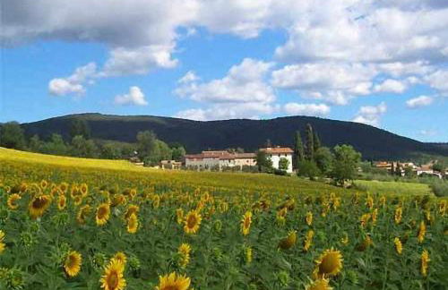 Appartamenti con cucina nelle colline toscane - Foto 19