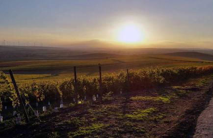 Ferienwohnung Olm - Foto 27