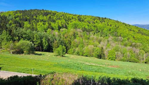 Ferienland Sonnenwald Ferienwohnung im Sonnenwald Apartment 5 - Foto 2