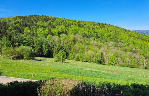 Ferienland Sonnenwald Ferienwohnung 44 "Sonnenschein" - Foto 7