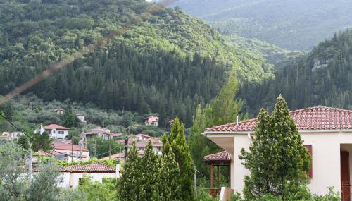 Art Flowers and Culture - Foto 4