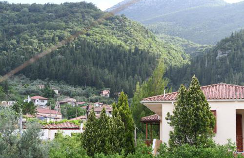 Art Flowers and Culture - Foto 4