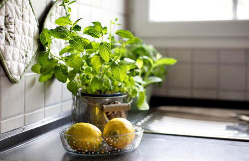 Ferienwohnung Höll - Foto 6