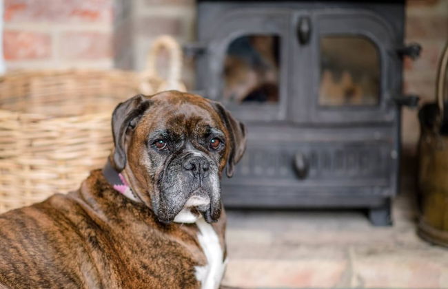 Manor Lodge, Walberswick - Photo 35