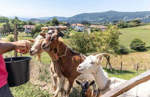 Larraetxea - Foto 19