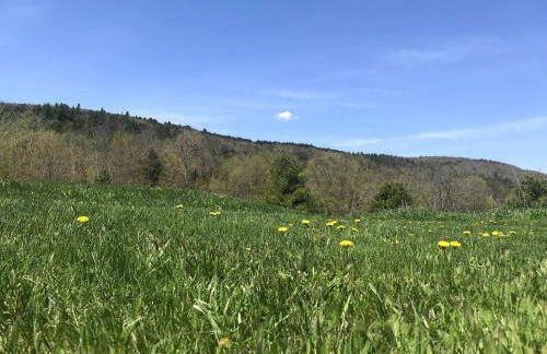 Entire Enchanting, Light-Filled 1830 Farmhouse - Foto 74