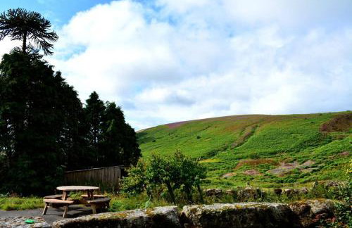Idyllic Dartmoor Cottage - Foto 16
