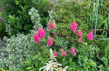 The Cuckoo's Retreat - Luxurious home with private garden & jacuzzi - Photo 52