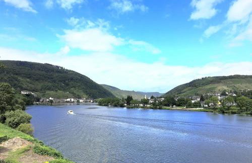 Ferienhaus Bullay - Foto 55