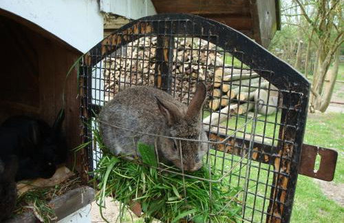 Gutspark Seeblick - Foto 27