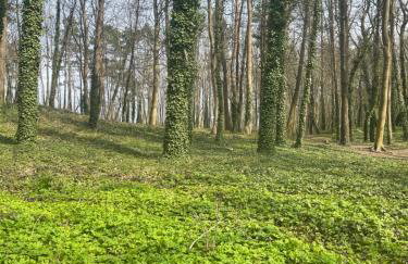 Donna Aparts - Foto 24