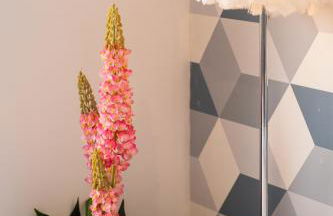 Charmant appartement Vosgien centre Saint Dié, proche montagnes - Foto 17