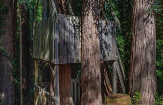 10 Acre Estate with Views Teahouse and Pickleball Court - Foto 63