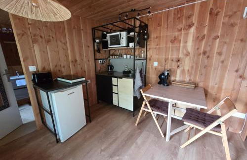 Studio bois avec terrasse et jardin bassin et océan - Foto 14