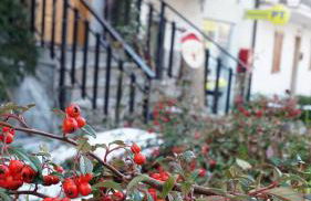 Favelle House - Foto 15