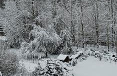 Ferienwohnung Große - Foto 22