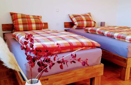 Marie´s Sonnenterrasse - Photo 21