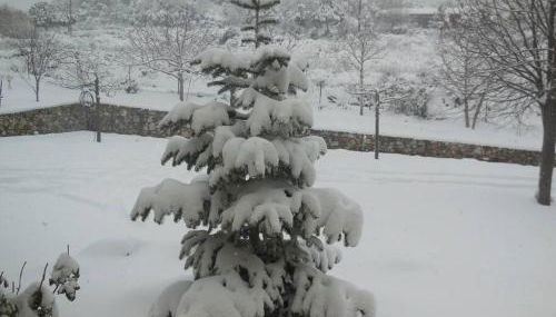 Κτήμα Φτελιά - Foto 2