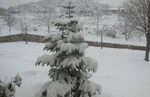 Κτήμα Φτελιά - Foto 2