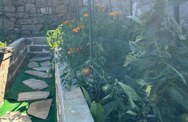 Πατρικό ολόκληρος ξενώνας entire stone guesthouse - Foto 26