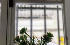 el 2 de Flamenco BajoB - Foto 34