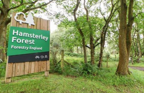 Forestside View - Photo 69