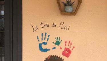 La tana dei Ricci - Foto 5