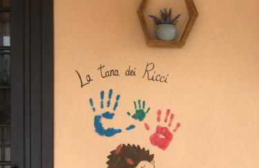 La tana dei Ricci - Foto 5