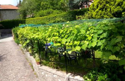 Visit ValSeriana - Photo 27