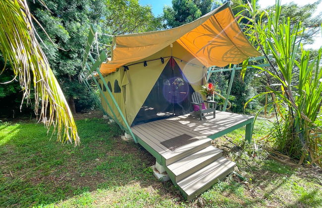 Gingerhill Farm Retreat - Foto 65