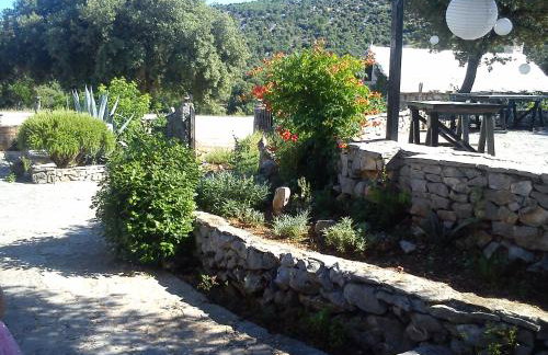 Country House Hacienda - Photo 64