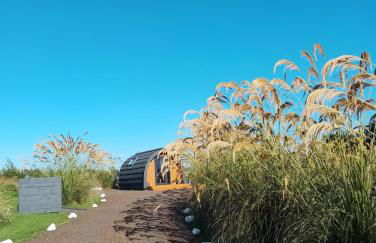 North Star Glamping - Foto 15