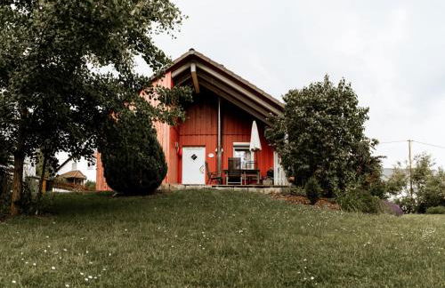 Erholung am Ginkgobaum - Foto 1