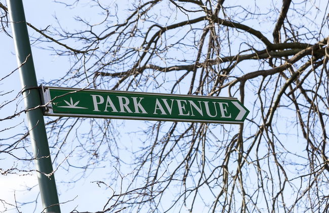 Park Avenue - Forest Hill - Photo 22